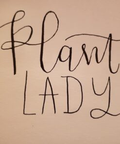 Hand Lettering 101: A Step-by-Step Calligraphy Workbook for Beginners (Gold Spiral-Bound Workbook with Gold Corner Protectors) (Modern Calligraphy) 40 61Eo8QAD98L