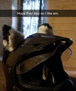 Happylifehere Cat Fox Ears Kitty Costume Halloween Cosplay Fancy Dress Black with gray Kits 25 61EpSnml29L