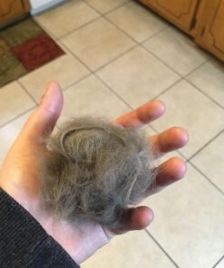 Pet Grooming Dog & Cat Brush For Shedding, Effective for Long & Short Hair Pet Grooming Tool, Reduces Dogs and Cats Shedding Hair By More Than 95%, The Professional Deshedding Tool 40 61Eps9GFHL