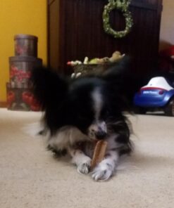 PEDIGREE DENTASTIX Toy/Small Dog Dental Treats Original Flavor Dental Bones, 13.97 oz. Pack (58 Treats) Chicken 58 Count (Pack of 1) 23 61ExdhF6viL