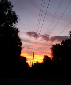 UGREEN Micro USB 2.0 OTG Cable On The Go Adapter Male Micro USB to Female USB Compatible with Samsung Phone S7 S6 Edge S4 S3 LG G4 Controller Android Windows Smartphone Tablets 4 Inch Black 42 61F pUv1PmL