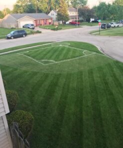 Rust-Oleum 266593 Professional 2X Distance Inverted Marking Spray Paint, 15 oz, White 15 Ounce (Pack of 1) 9 61F0NnTM1qL