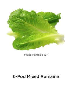 AeroGarden Mixed Romaine Lettuce Seed Pod Kit (6-pod) 6-pod 24 61F5QoQri2L