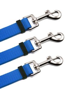 Wellbro 3 in 1 Durable Nylon Dog Leash with Padded Handle, Three- Way Pet Leash with a Coupler, Adjustable and Detachable, Lead for Small, Medium Dogs (Blue) Blue 13 61F6iqUlT8L