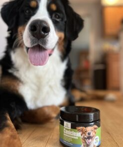 Caniclean Seaweed for Dogs Teeth - Dog Tartar Removal Tool, Plaque Remover, and Breath Freshener - Get Plaque Off Dogs Teeth Naturally 31 61F6sx3Rp7L