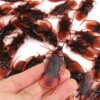 Cooplay 20PCS - Fake Roaches Prank - Cockroach Bugs Look Real Black Red 7 61F9w6hmgAL