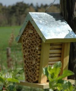 Esschert Design WA02 Bee House 6 61FATNwOEPL