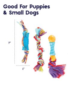 Petstages Orka Mini Dental Dog Chew Toys - 3 Pack Dental Chew 3 Pk 29 61FERhJiEbL