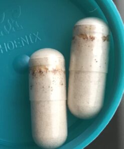 Source Naturals Wellness Formula Bio-Aligned Vitamins & Herbal Defense For Immune System Support - Dietary Supplement & Immunity Booster - 240 Capsules 38 61FEdwjoalL