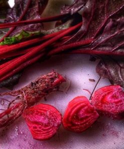 Seed Needs, 1,500+ Rainbow Beet Seed Mixture - 8 Variety Heirloom Mix (Beta vulgaris) Bulk Non-GMO 42 61FGN8bjgL