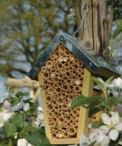 Esschert Design WA02 Bee House 7 61FMIzREbkL