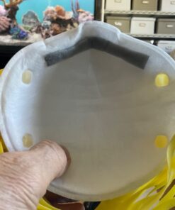 3M Personal Protective Equipment Particulate Respirator 8210, N95, Smoke, Dust, Grinding, Sanding, Sawing, Sweeping, 20 Count (Pack of 1) 20 Count (Pack of 1) 32 61FOC5bEdQL