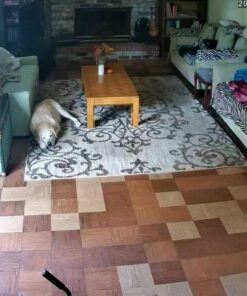 JideTech 5MP PTZ WiFi Camera Outdoor, 5X Optical Zoom Dome Camera with Human/Motion Detection, Auto Tracking, Wireless IP Camera with Mic/Audio, MicroSD (128GB), IR Night Vision, IP66 Weatherproof 73 61FSMBhwKwL