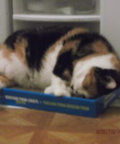 Catit Cat Scratcher, Wide Cat Board 23 61FTmG6Qo8L