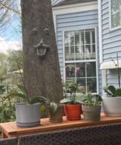 Tree Face Bird Feeder (Hand Painted) Fun Outdoor Decor Includes Glow in The Dark Eyes 21 61FX6ruyKBL