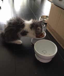 Necoichi Raised Cat Water Bowl, Elevated, with Measurement Lines, Dishwasher and Microwave Safe (Cat, Regular) 49 61FbLNovSaL