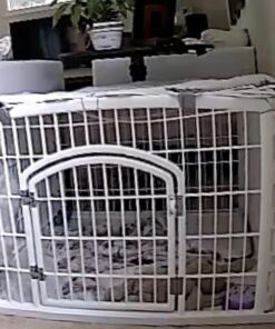 IRIS USA 24-inch Exercise 4-Panel Pet Playpen with Door, White 4 Panel w/ door 38 61FeBgXOqLL