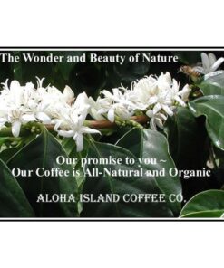 100% Pure Kona Coffee, Private Reserve Diamond, 8 Oz Whole Bean 12 61FfWPz9y3L