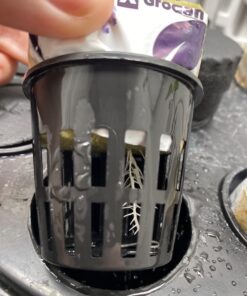 General Hydroponics RapidStart, Plant Food, 1-0.5-1, 275 mL. 25 61FgrRmdD2L