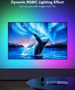 Govee TV LED Backlight, RGBIC TV Backlight for 55-65 inch TVs, Smart LED Lights for TV with Bluetooth and Wi-Fi Control, Works with Alexa & Google Assistant, Music Sync, 99+ Scene Modes, Adapter 21 61Fh8RCPqYL
