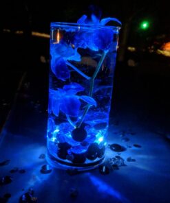 JINHEZO Submersible LED Light, Tea Lights, Pond Underwater Small LED Lights, Battery Operated 125 Hours, for Wedding Home Vase Festival Party Decoration White 24Pcs (Built-in 48 Batteries) 24 Pack 43 61FiF8xHVkL