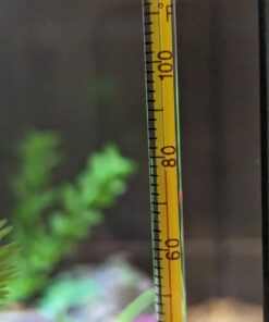 Tetra HT Submersible Aquarium Heater With Electronic Thermostat, 50-Watt, 2-10 Gallon 26 61Fjgq00FFL