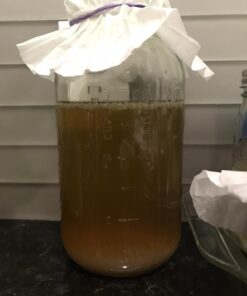 Cultures for Health Water Kefir Grains | DIY Fermented Probiotic Drink Powder for Stronger Gut Health | Heirloom Starter Makes Limitless Supply | Non-GMO Dairy Free Vegan Sparkling Water with Enzymes 0.19 Ounce (Pack of 1) 43 61Fjyav2BWL