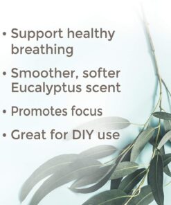 Plant Therapy Eucalyptus Radiata Essential Oil 10 mL (1/3 oz) 100% Pure, Undiluted, Therapeutic Grade 0.3 Fl Oz (Pack of 1) 7 61FxAQ3CxHL