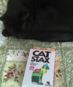 Cat Stax The Purrfect Packing Puzzle Game 16 61G01v CyCL