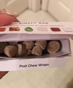 Simply Gum | Peppermint | Pack of Six (90 Pieces Total) | Plastic Free + Aspartame Free + non GMO 30 61G0iuIeLBL 1