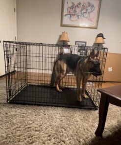 MidWest Homes for Pets Newly Enhanced Single Door iCrate Dog Crate, Includes Leak-Proof Pan, Floor Protecting Feet, Divider Panel & New Patented Features iCrate; Single Door 48.0"L x 30.0"W x 33.0"H 31 61G1xwSSQbL