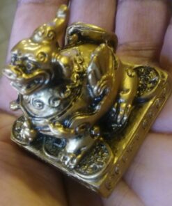 Feng Shui Pi Yao/Pi Xiu Brass 5 61G5fhrfE5L