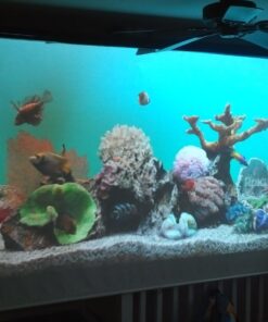 Updated Mini Projector with Bluetooth and Projector Screen, 9500Lumens Full HD 1080P Portable Video Projector, Home Theater Movie Projector Compatible with HDMI,USB,AV,Laptop,Smartphone 44 61G7U9T4mfL