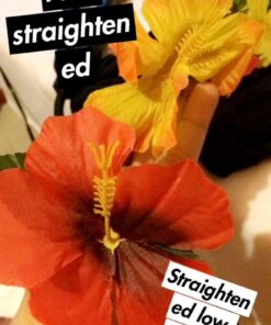 Hibiscus Flowers for Tabletop Decoration (24) 30 61GCJJ9h3eL