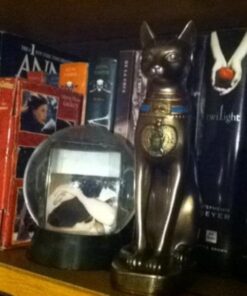 Top Collection Goddess Bastet Statue - Ancient Egyptian Goddess of Protection Sculpture in Premium Cold Cast Bronze - 8-Inch Collectible Fertility Cat Figurine 46 61GEqXj3uL