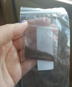 8,000 Foxglove Mix Seeds (Digitalis Purpurea) - by Seeds2Go 16 61GOU29XA0L