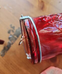 Perky-Pet 786-1SR Mason Jar Vintage Glass Hummingbird Feeder - Outdoor Garden Décor - 32-oz Red Mason Jar 37 61GT3QSZc0L