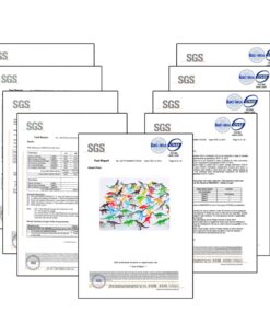 82 Piece Mini Dinosaur Toy Set for Dino Party Favor Supplies Birthday Cupcake Toppers - Assorted Vinyl Plastic Figure Toys for Kids Toddler Pinata Filler School Carnival Prize Bulk Goodie Bag Stuffers 28 61GULh4vXUL