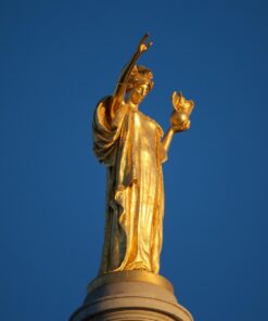 Sigma 150-600mm 5-6.3 Sports DG OS HSM Lens for Canon Canon SLR Mount US Version 73 61GXrn5CVJL