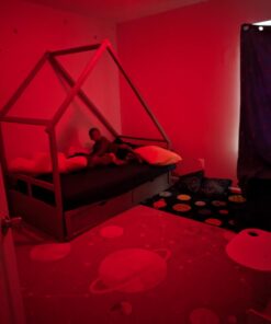 Amazon Basics - Smart A19 LED Light Bulb, 2.4 GHz Wi-Fi, 7.5W (Equivalent to 60W) 800LM, Works with Alexa Only, 1-Pack, Certified for Humans, Multicolor Color Changing 1 Pack 24 61GczN8ZZoL