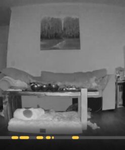 Canary Pro Indoor Home Security Camera 1080p HD WiFi IP | 24/7 Watch Live Video, Siren, Climate Monitor, Motion Alerts, Two-Way Talk, Night Vision, 10x Zoom, Private Mode, Works with Alexa and More 41 61GjdtOKBsL