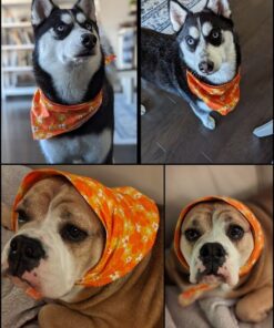 Earth Rated Dog Poop Bags - Leak-Proof and Extra-Thick Pet Waste Bags for Big and Small Dogs - Refill Rolls - Lavender Scented - 270 Count 35 61GoUscPwSL