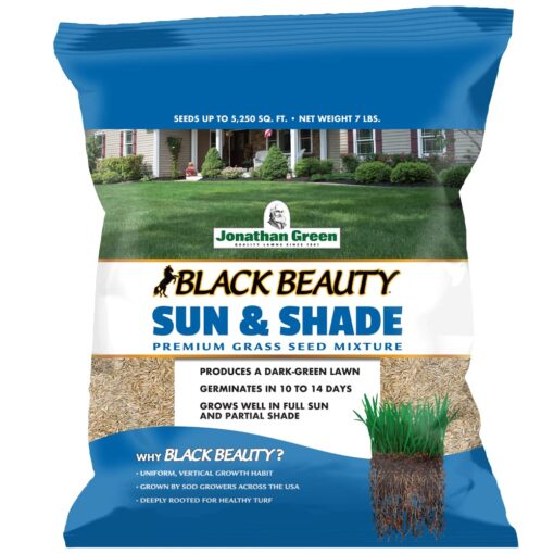 Jonathan Green (12005) Black Beauty Sun & Shade Grass Seed - Cool Season Lawn Seed (7 lb) 7 lb