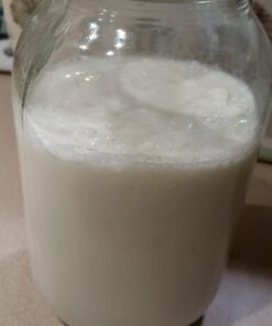 2TBSP Active Organic Milk Kefir Grains Ebook: "Milk Kefir Unleashed" 1 Count (Pack of 1) 43 61GrlH KfpL