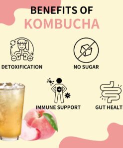 Garden Kombucha Tea, Powder 5g x 20 Sachets (100g/3.52oz) Probiotics, Prebiotics, Sugar Free, Black Tea, Healthy Drink with Bottle (FREE BOTTLE SHAKER) (Peach) Peach 28 61GtOzglBBL