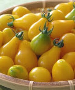 Alternative view of Tomato,Yellow PEAR Tomato Seed, Heirloom, Non-GMO, 25+ Seeds, Tasty, Great for Salads