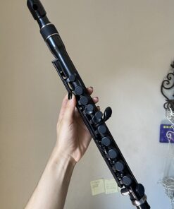 Nuvo Flute, Black (N220JFBK) 16 61GvTmwESGL