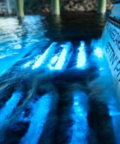 Tidal Wake Plug N' Play Underwater LED Boat Drain Plug Light, No Wiring Required No Holes to Drill, Add Ultra-Bright Underwater Lighting to Your Boat in 5 Minutes! 3 Years Warrant Blue 19 61Gxp3J29RL