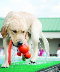 Alternative view of KONG Wubba Wet Dog Toy - Large (Assorted Colors) Standard Packaging