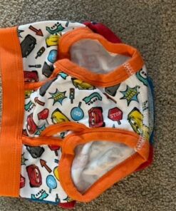 Thomas & Friends Boys Toddler 7-Pack 100% Combed Cotton Briefs with Thomas The Tank, Percy and More in Sizes 2/3t and 4t 20 61H1GV0kFL